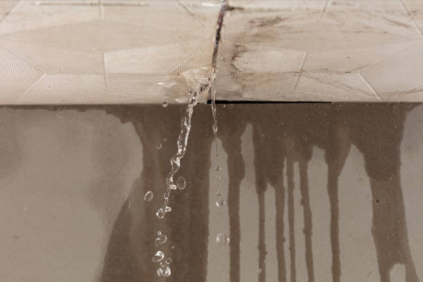 Professional Water Damage Repair technician working in Greer, AZ